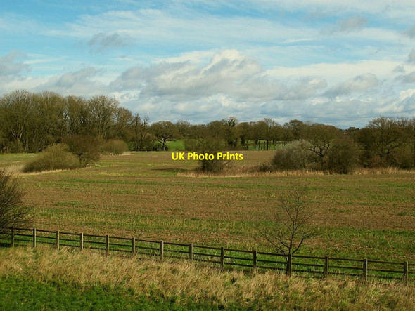 Photo 6"x4" Field east of the M6 north of Brereton Lane  Bradwall Green c2016