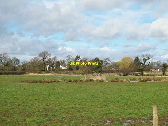 Photo 6"x4" Small pond near Oakley Manor, Sproston Sproston Green c2016