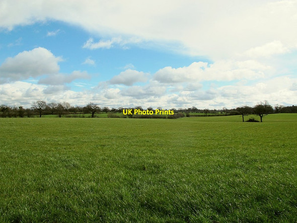 Photo 6"x4" Grassland byJones's Lane, Sproston Hollinsgreen c2016