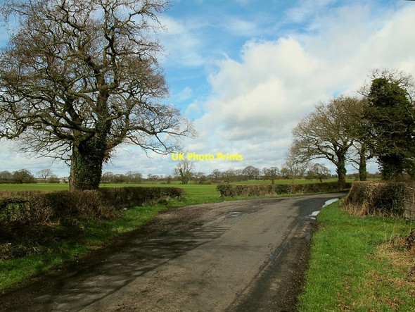 Photo 6"x4" Layby, Jones's Lane, Sproston Hollinsgreen c2016