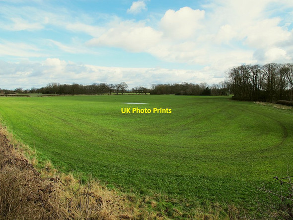 Photo 6"x4" Field east of the railway, off Wood Lane Sandbach c2016