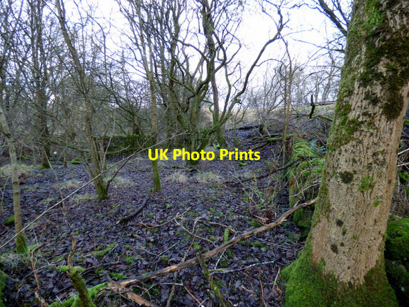 Photo 6"x4" Site of Georgetown railway station Freeland\/NS4669 c2015 P3