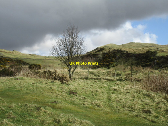 Photo 6"x4" Grassland above Largs Largs\/NS2059 c2016