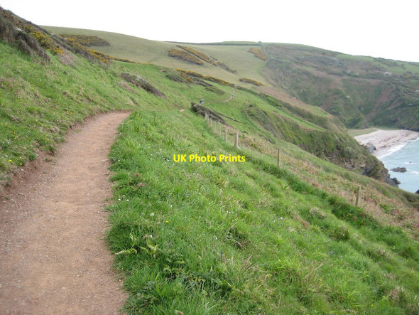 Photo 6"x4" Coast path above Lantic Bay Fowey c2011