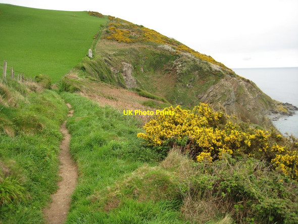 Photo 6"x4" The coast path above Broad Cove Lansallos c2011