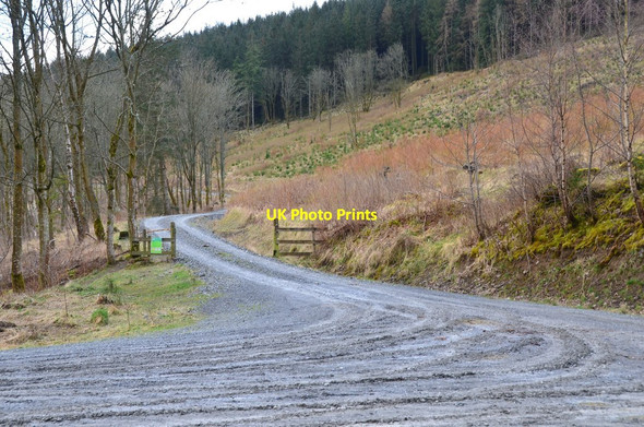 Photo 6"x4" Track junction and parking space, Ladyurd Forest Castlecraig\/NT1344 c2016