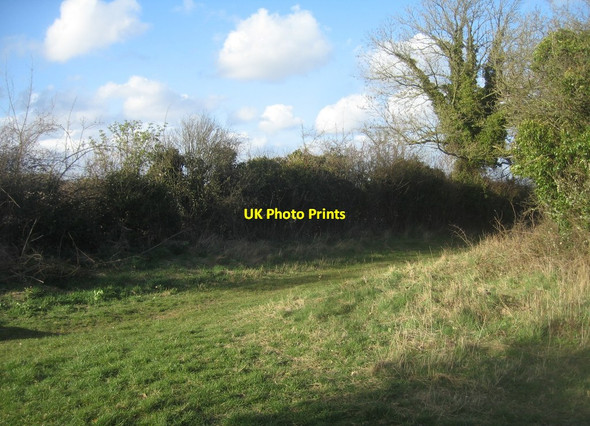 Photo 6"x4" Oxdrove Way to Abbotstone Abbotstone c2016