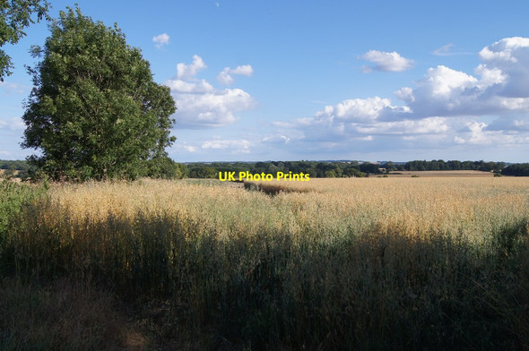 Photo 6"x4" Teddys Field (29.5 acres) Wootton St Lawrence c2015