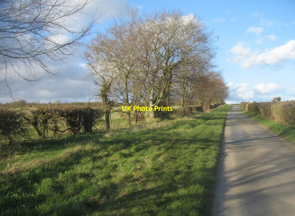 Photo 6"x4" View along Northington Road Abbotstone c2016