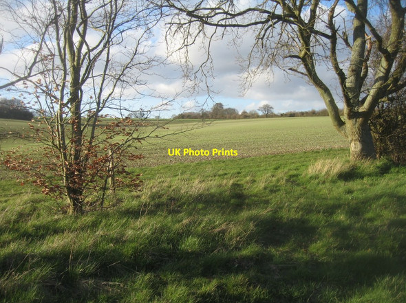 Photo 6"x4" Farmland west of Northington Road Abbotstone c2016