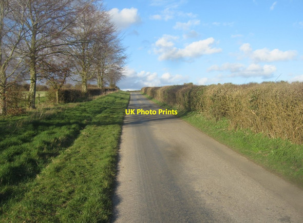 Photo 6"x4" View along Northington Road Abbotstone c2016