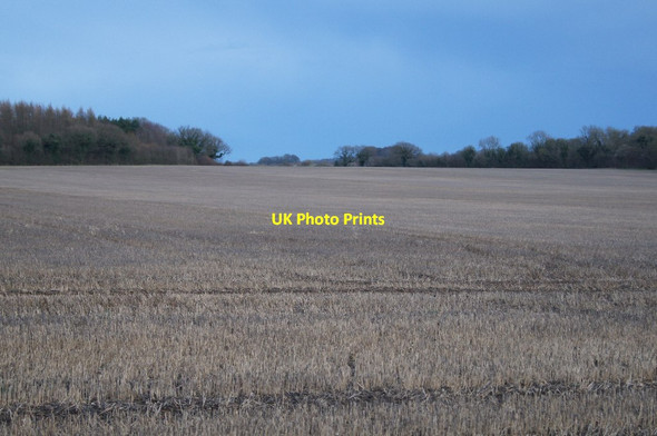 Photo 6"x4" Wide view of East Field (37.5 acres) Pardown c2016