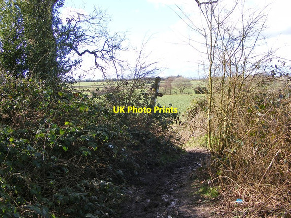 Photo 6"x4" Permissive Path Nurton\/SO8399 c2016
