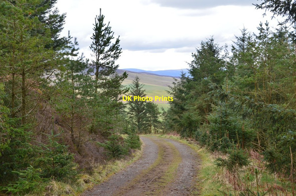 Photo 6"x4" Track on The Mount Kaimrig End c2016