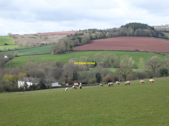 Photo 6"x4" Valley of the River Creedy from Upton Hellions Upton Hellions c2016