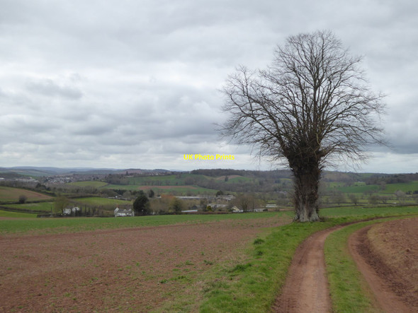 Photo 6"x4" Track between Bradley Farm and Haske Crediton c2016