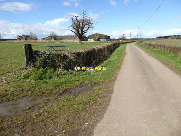 Photo 6"x4" Country road near Manor Farm Hill Croome c2016
