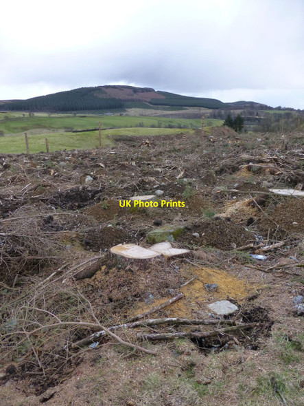 Photo 6"x4" Clear felled forest  Dykehead\/NO3860 c2016