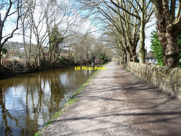 Photo 6"x4" Trip boat Titus on the Leeds & Liverpool Canal, Saltaire Shipley\/SE1437 c2016