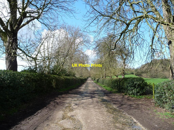 Photo 6"x4" Higher Coach Road, heading west to South Lodge Bingley\/SE1139 c2016