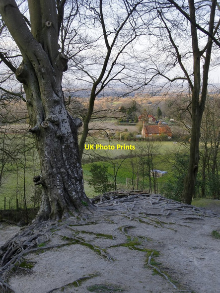 Photo 6"x4" A view from Chalkpit Wood Hole Street c2016