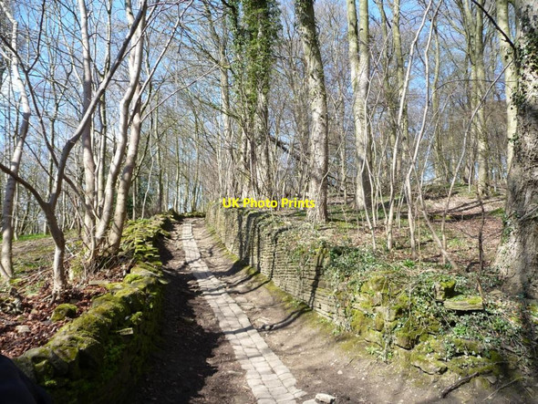 Photo 6"x4" Path to Gilstead and Sheriff Lane Bingley\/SE1139 c2016