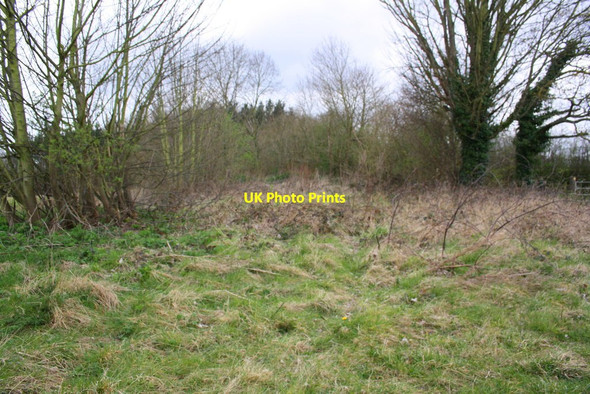 Photo 6"x4" Clearing in scrub area on north side of Pear Tree Lane Thorpe Acre c2016