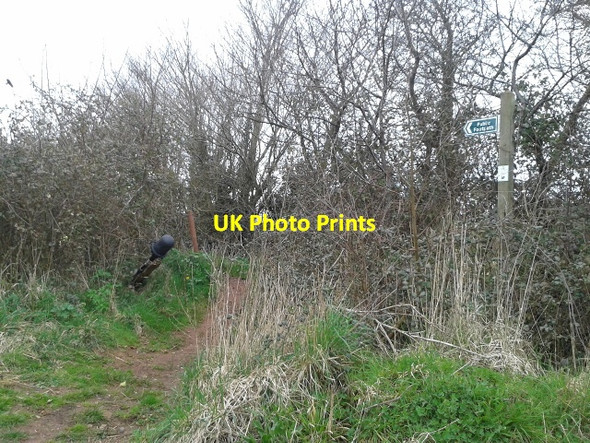 Photo 6"x4" Start of footpath next to the golf course Sweetham c2016