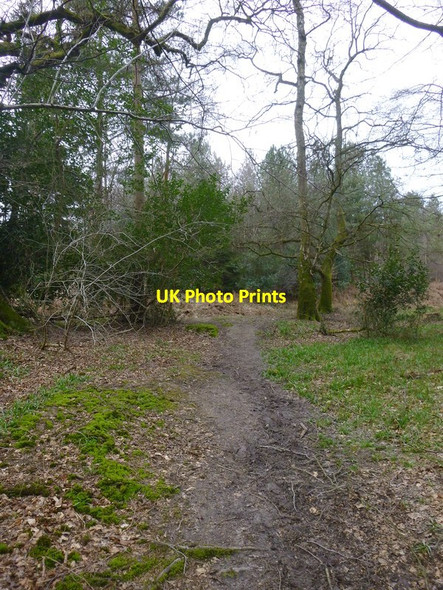 Photo 6"x4" Footpath junction on Race Hill (2) Colgate c2016