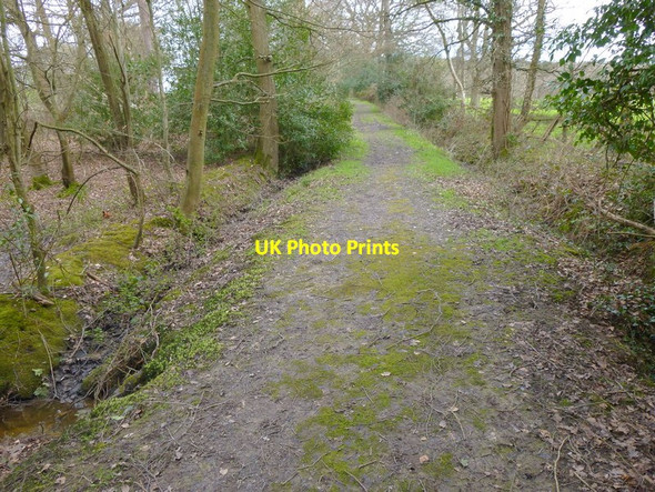 Photo 6"x4" Path to Old Springfield Stud Colgate c2016