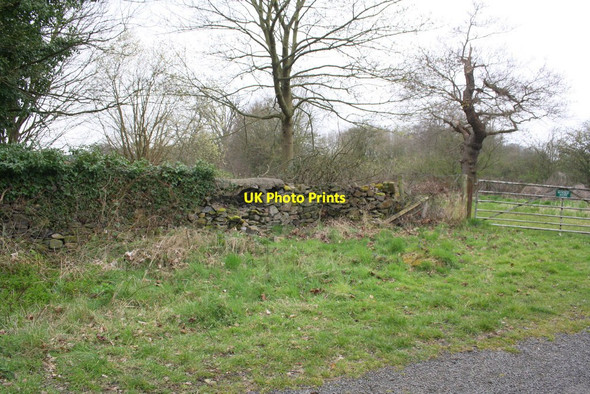 Photo 6"x4" Garendon Park northeastern boundary wall Thorpe Acre c2016