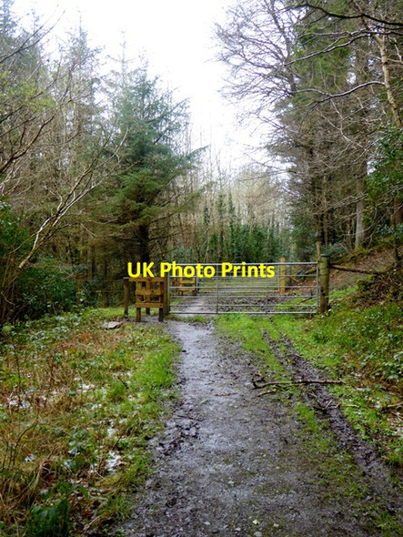 Photo 6"x4" Gate on the Slieve Bloom Way Clonaslee c2016