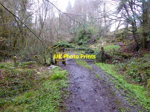 Photo 6"x4" Gateway on Slieve Bloom Way Clonaslee c2016