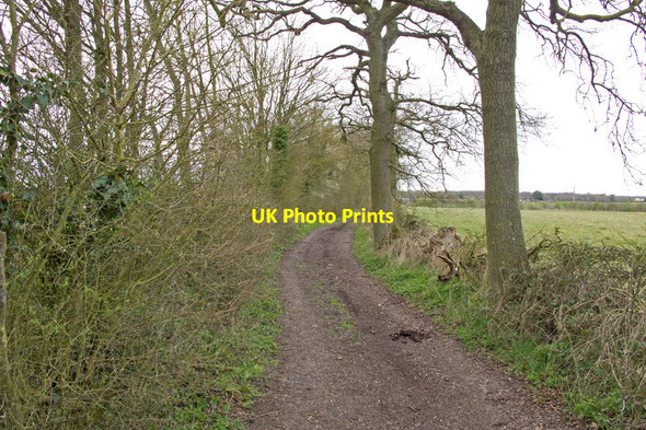 Photo 6"x4" Byway to Golden Lane, Radwinter Hempstead\/TL6338 c2016