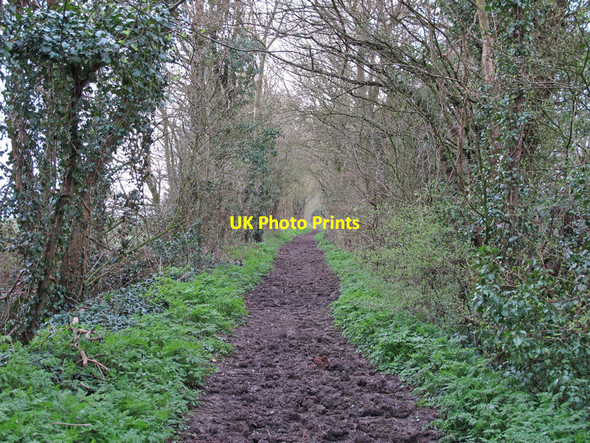 Photo 6"x4" Bridleway running north-west from High Street, Hempstead Hempstead\/TL6338 c2016