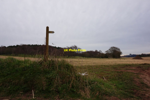 Photo 6"x4" Public footpath to Sutton Grange Market Drayton c2016