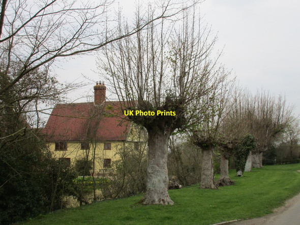 Photo 6"x4" Cocksgreen Farm Cocks Green c2016