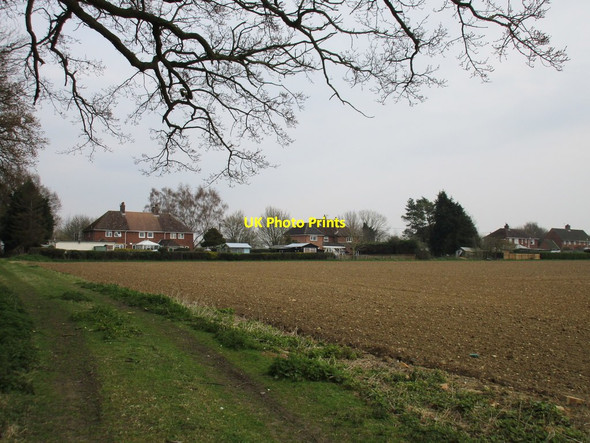 Photo 6"x4" Approaching Grove Cottages Brook Green\/TL8658 c2016