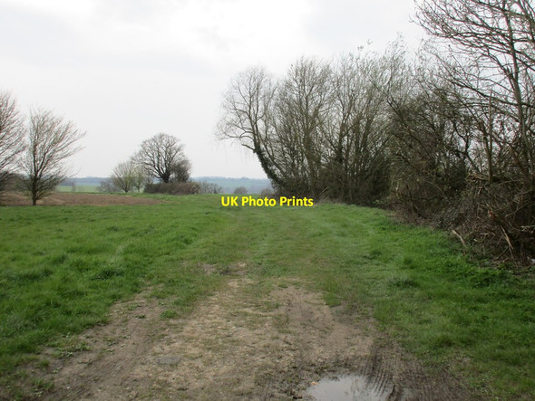 Photo 6"x4" The beginning of Mill Lane Brook Green\/TL8658 c2016