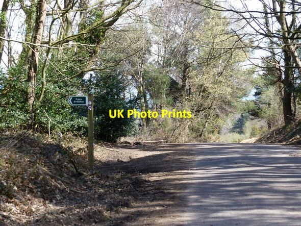 Photo 6"x4" Sign for Public Bridleway heading onto Woodbury Common Woodmanton\/SY0185 c2016