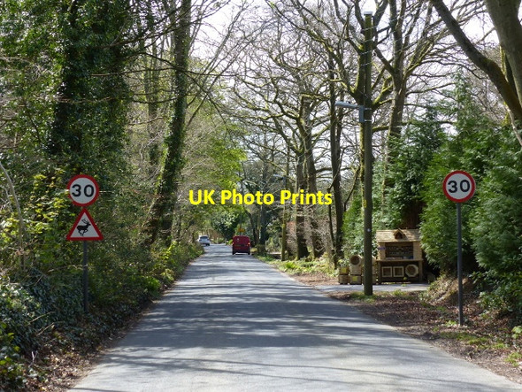 Photo 6"x4" Marley Road, looking south-west Hulham c2016