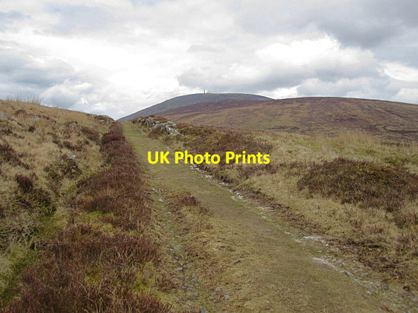 Photo 6"x4" Upland Track Kiltealy c2016