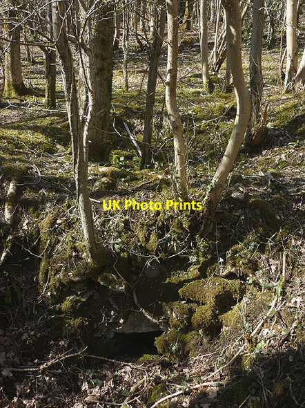 Photo 6"x4" Possible ruined lime kiln, woods west of Haverbrack Sandside\/SD4880 c2016