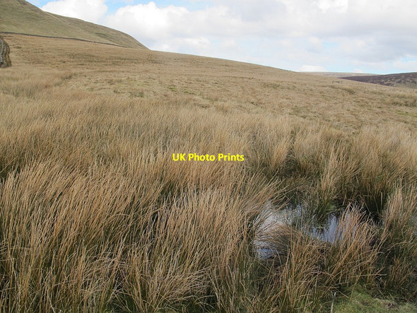Photo 6"x4" Boggy ground north of Middle Knoll Sykes\/SD6351 c2016