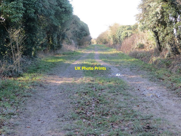 Photo 6"x4" Ridgeway past Wayland Smithy Ashbury\/SU2685 c2016