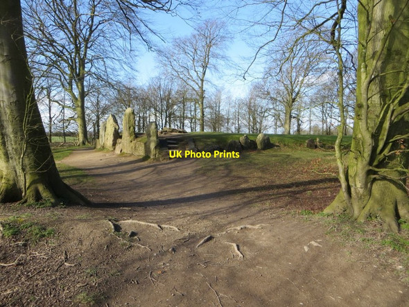 Photo 6"x4" Smithy past the Trees Ashbury\/SU2685 c2016