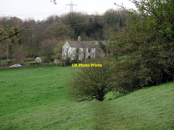 Photo 6"x4" Path east of Station Road Ryton\/NZ1564 c2016