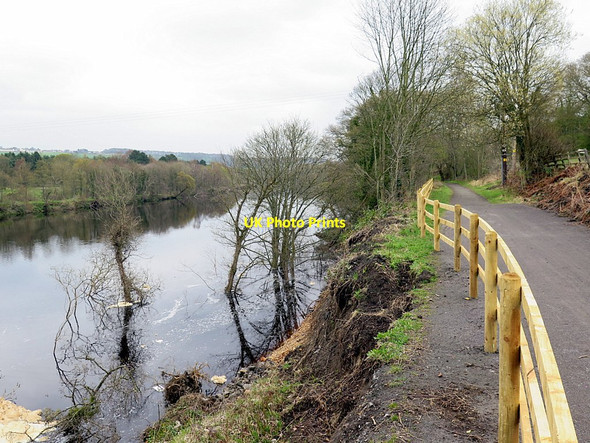 Photo 6"x4" Erosion of River Tyne bank opposite Stephenson's Cottage Clara Vale c2016
