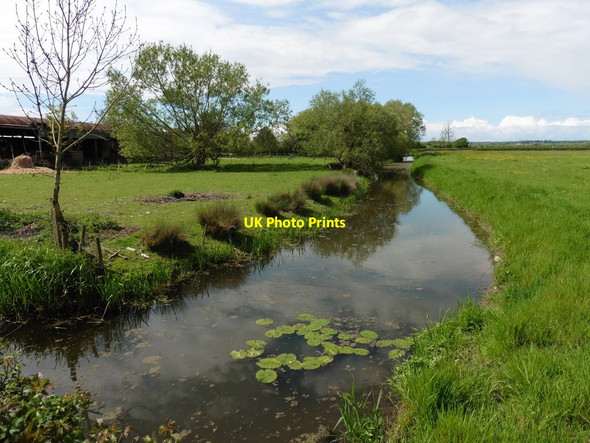 Photo 6"x4" Drain near Coombe Bridge Kingsbury Episcopi c2016
