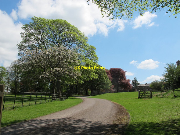 Photo 6"x4" Appleby Castle: driveway Appleby-in-Westmorland c2016